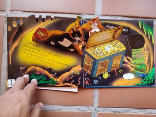 Libro En Busca del tesoro del pirata