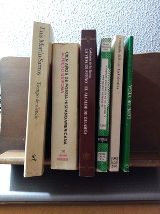 3 libros X 5 € Libros de literatura varios títulos