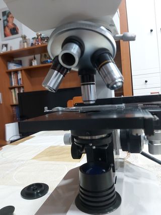 Microscopio profesional 