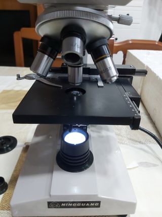 Microscopio profesional 