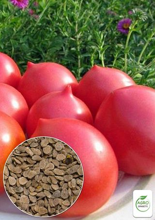 Semillas de tomate "Zinulya 2"(10 unidades)