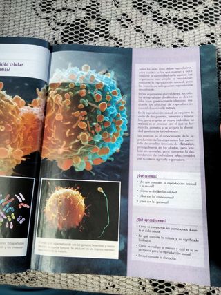 Libro Biología y geología 4 de la ESO