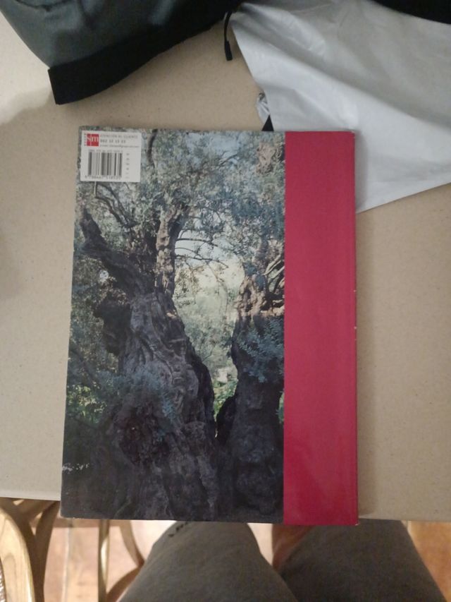 Libro de Religión 3° Educación Secundaria