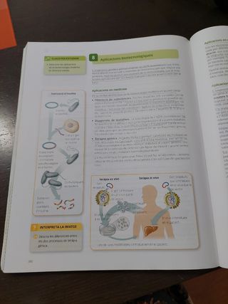 Biología i Geología. 4t Eso. Santillana