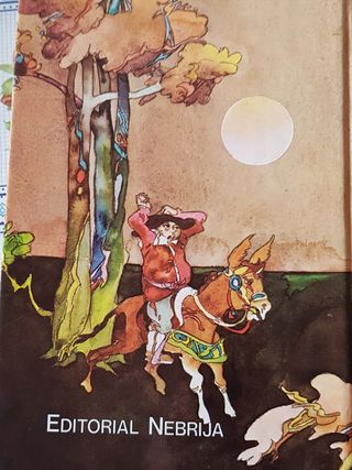 Libro juvenil D Quijote de la Mancha