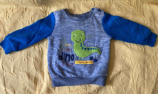 Lote Ropa 9-12 meses