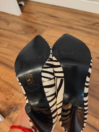 Zapato zebra
