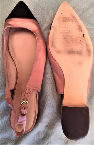 Bailarinas ZENDRA BASIC