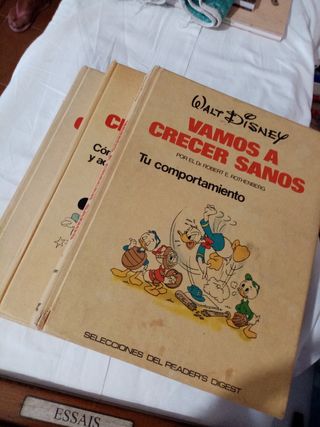 Lote Disney 