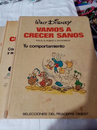 Lote Disney 