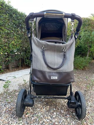 Carrito de bebé y silla coche Silver Cross Pioneer