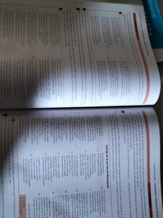 Lengua Castellana y Lit. 1° Bach