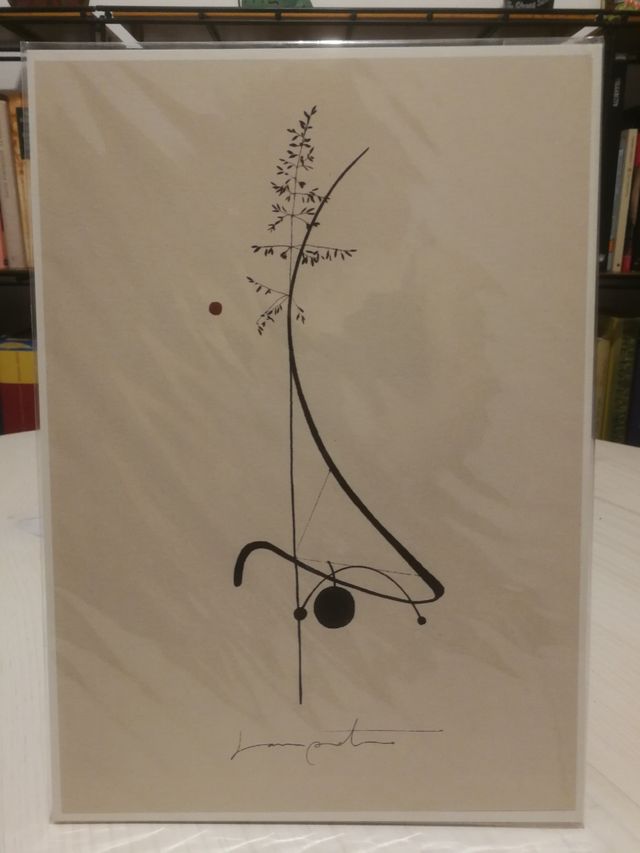 Lámina Mónica Sampietro