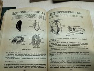 Antiguos libros escolares 