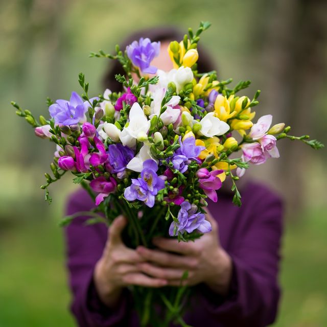 Semillas de Freesias