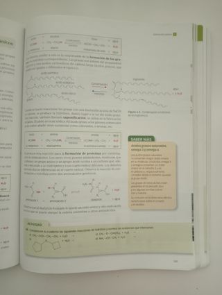Física y Química. 1 Bachillerato. Ed. Santillana