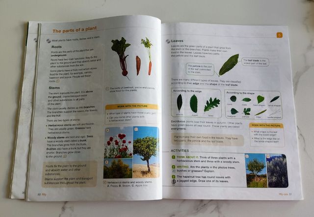 Natural Science 4° Primaria. Santillana - Richmond