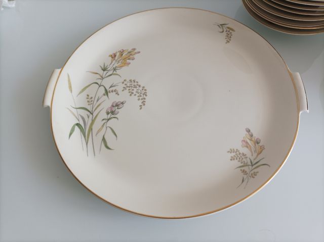 Bandeja Rosenthal edición limitada