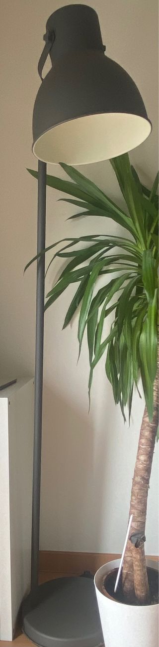 Lámpara de pie.