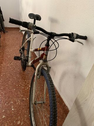 Bici de montaña