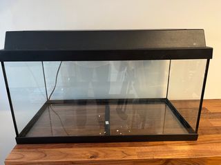 Acuario con luz