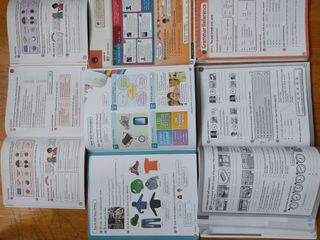 Libros de inglés Tiger Tracks. 6 EP. Ed. MacMillan