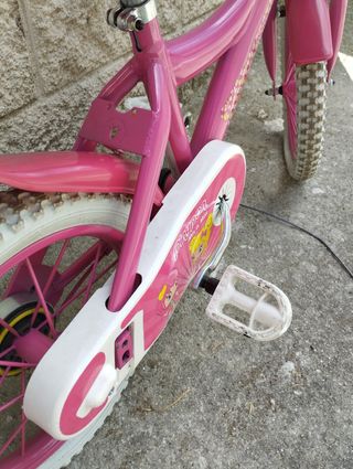 Bicicleta niña 14 pulgadas
