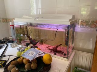 acuario 100L