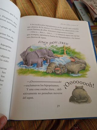 Libro Un tesoro para los tres años