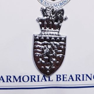 Insignia Policía Gran Bretaña 