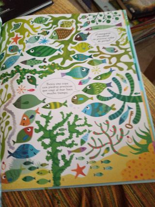 Libro Busca que te busca en el mar