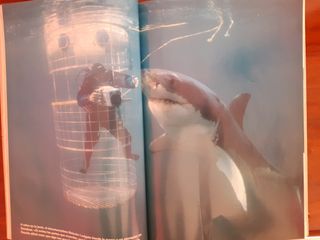 4€ National Geographic revista oficial año 2.000