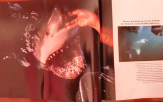 4€ National Geographic revista oficial año 2.000