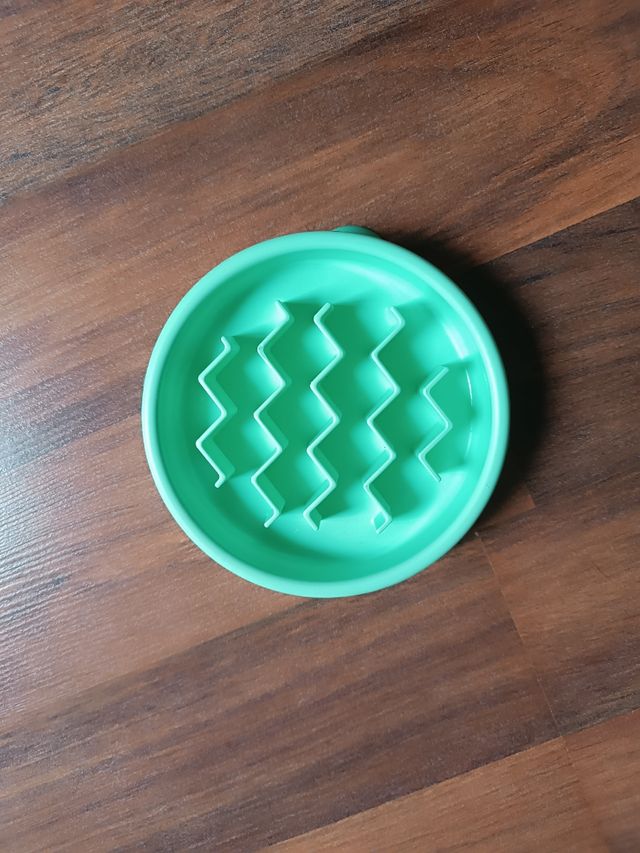 Comedero gato/ perro pequeño