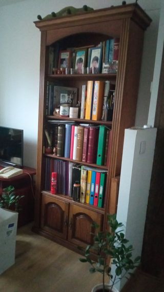 Libreria de castaño