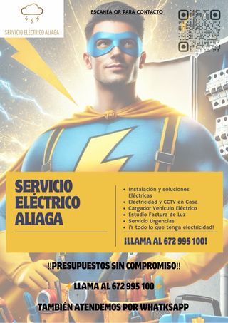Electricista Profesional y Boletines