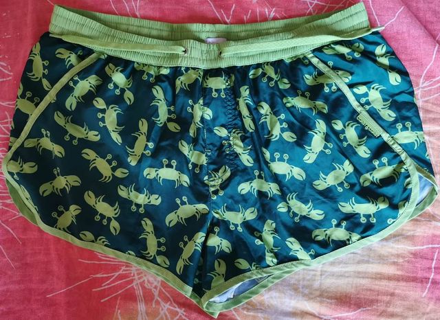 Costume da bagno bermuda da uomo Coast To Coast