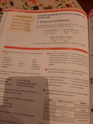 Lengua castellana y literatura