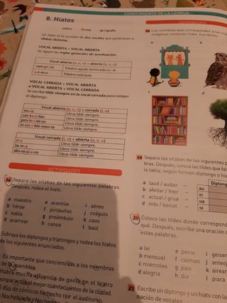 Lengua castellana y literatura