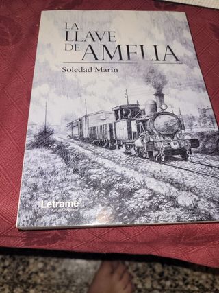 La llave de Amelia