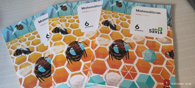 Matemáticas 6 de primaria. Más savia de segunda mano por 29 EUR en