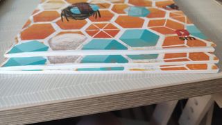 Matemáticas 6 de primaria. Más savia