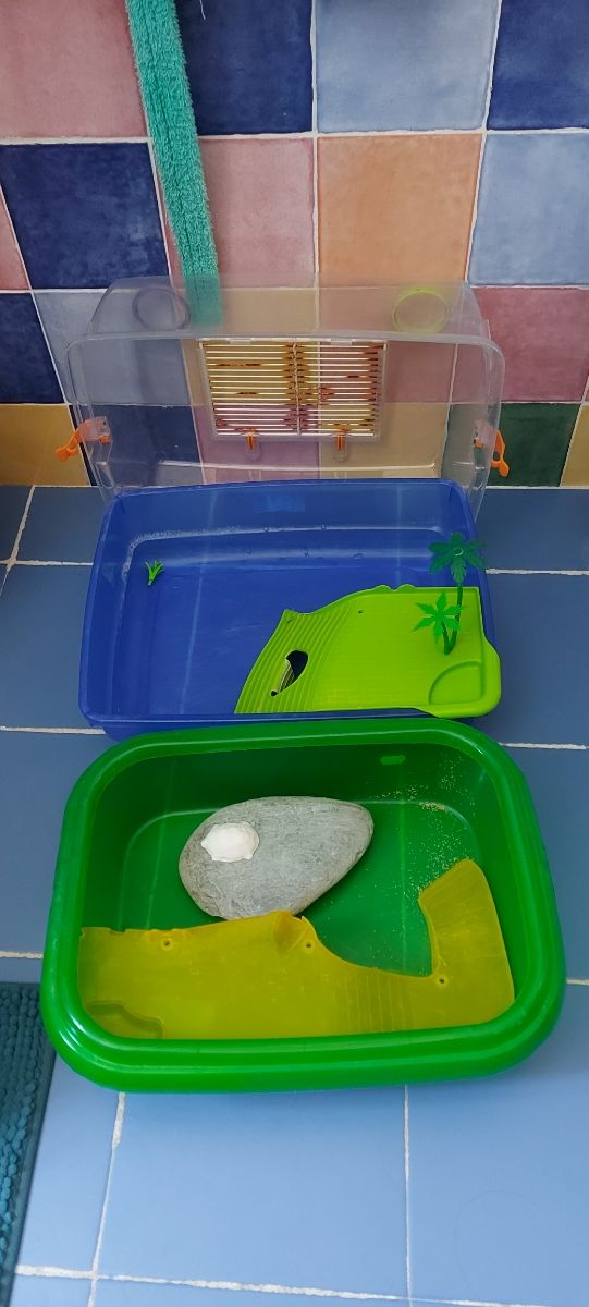 Acuarios para tortuga o bichejo similar