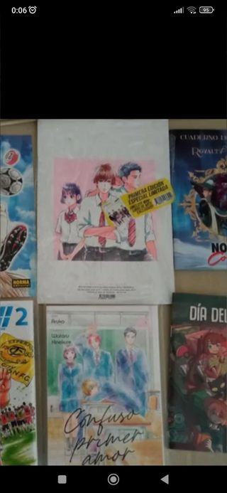 Confuso primer amor + libreto de arte