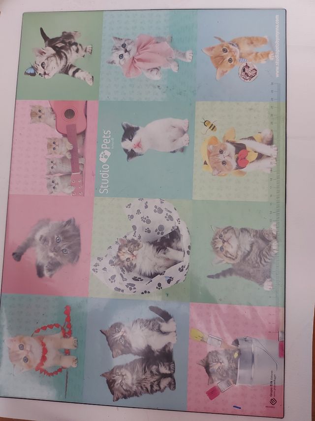 Cubre Mesas de gatitos