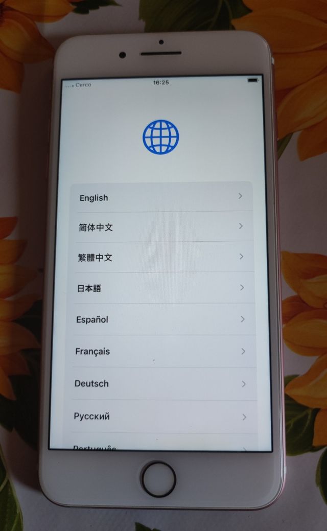 iPhone 7 plus batteria originale