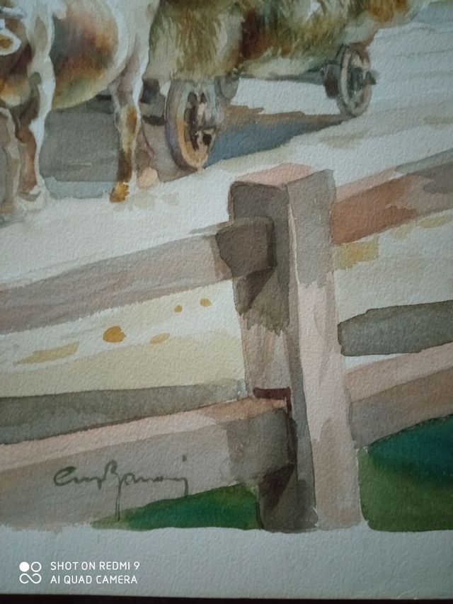 Tre quadri acquerelli