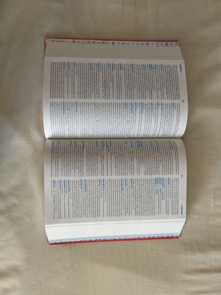 Diccionario Secundaria y bachillerato Español SM