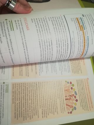 Lengua Castellana y literatura 1 Práctica