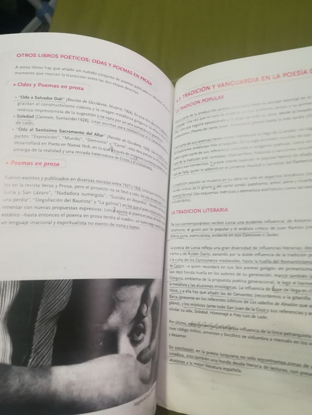 Lengua y literatura 2 bachillerato. Sansy